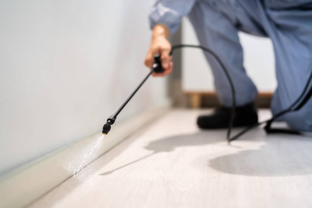 Licensed Rodent Control service in Byron, IL - Nex Pest Control