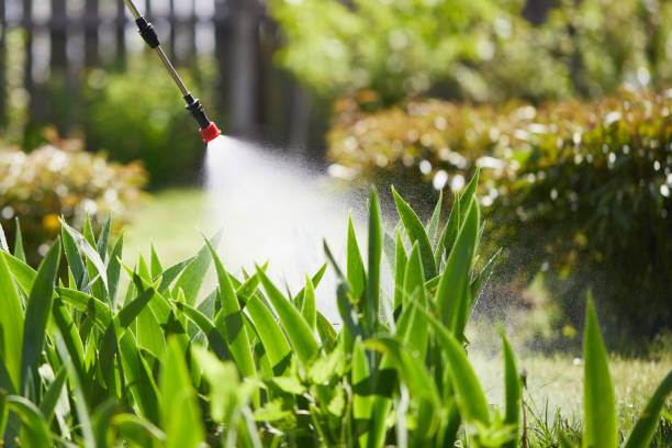 24/7 Emergency Rodent Control experts in Byron, IL