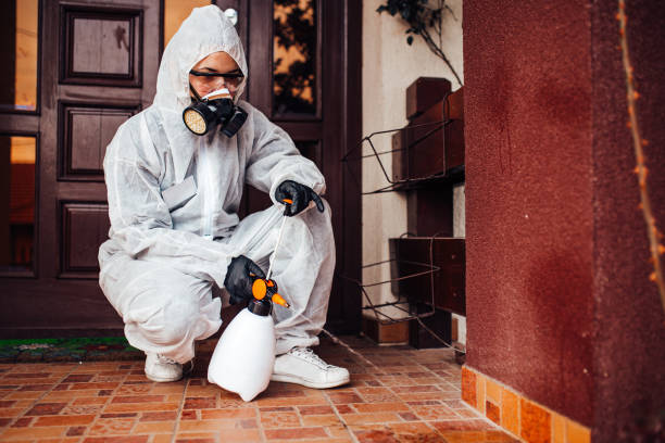 Reliable Rodent Control contractor in Byron, IL by Nex Pest Control