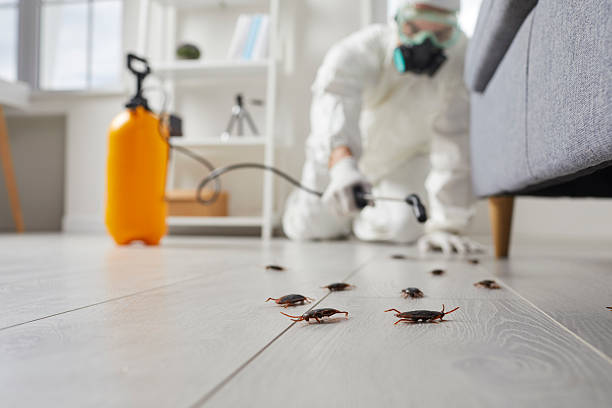Affordable Rodent Control solutions in Byron, IL