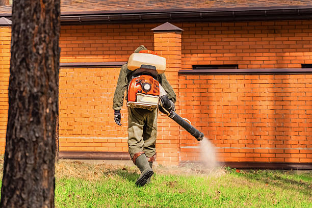 Top rated local Rodent Control specialists in Byron, IL